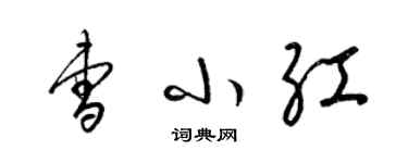 梁锦英曹小红草书个性签名怎么写