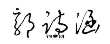 梁锦英郭诗涵草书个性签名怎么写