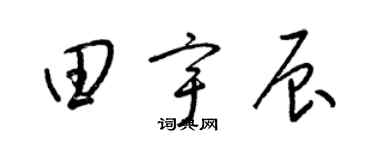 梁锦英田宇辰草书个性签名怎么写