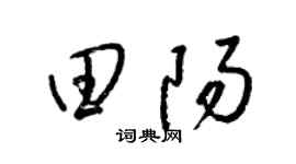 梁锦英田阳草书个性签名怎么写