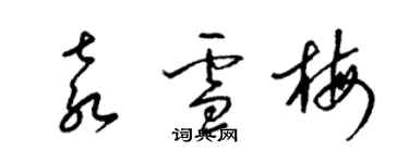 梁锦英袁雪梅草书个性签名怎么写