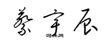 梁锦英蔡宇辰草书个性签名怎么写