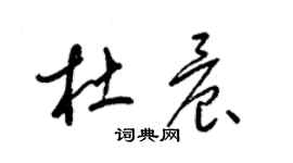 梁锦英杜晨草书个性签名怎么写
