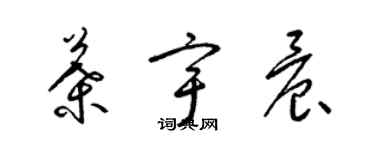 梁锦英叶宇晨草书个性签名怎么写