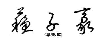 梁锦英苏子豪草书个性签名怎么写