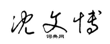 梁锦英沈文博草书个性签名怎么写