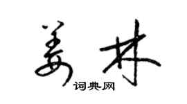 梁锦英姜林草书个性签名怎么写