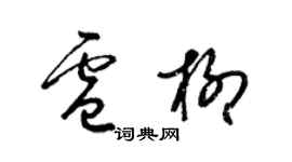 梁锦英卢柳草书个性签名怎么写