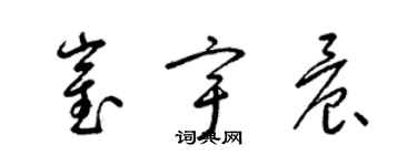 梁锦英崔宇晨草书个性签名怎么写