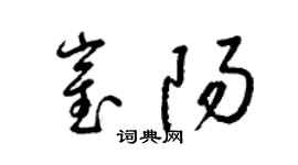 梁锦英崔阳草书个性签名怎么写