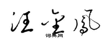 梁锦英汪金凤草书个性签名怎么写