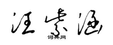 梁锦英汪紫涵草书个性签名怎么写