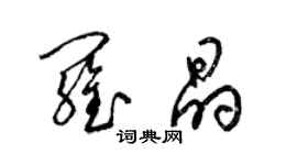 梁锦英罗晶草书个性签名怎么写