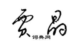 梁锦英贾晶草书个性签名怎么写