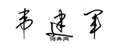 梁锦英韦建军草书个性签名怎么写