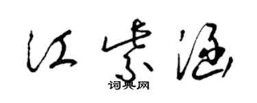 梁锦英江紫涵草书个性签名怎么写