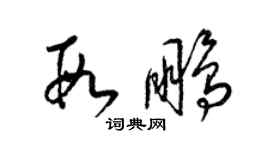 梁锦英段鹏草书个性签名怎么写