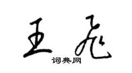 梁锦英王飞草书个性签名怎么写
