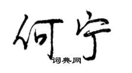 曾庆福何宁行书个性签名怎么写