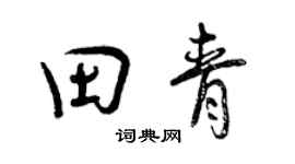 曾庆福田青行书个性签名怎么写