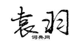 曾庆福袁羽行书个性签名怎么写