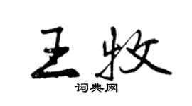 曾庆福王牧行书个性签名怎么写