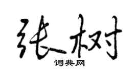 曾庆福张树行书个性签名怎么写
