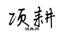 曾庆福项耕行书个性签名怎么写