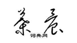 梁锦英叶晨草书个性签名怎么写