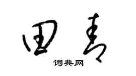 梁锦英田青草书个性签名怎么写