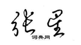 梁锦英张星草书个性签名怎么写