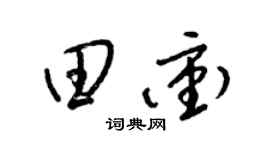 梁锦英田冲草书个性签名怎么写