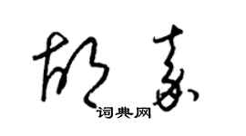 梁锦英胡嘉草书个性签名怎么写