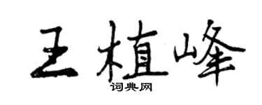 曾庆福王植峰行书个性签名怎么写