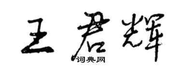 曾庆福王君辉行书个性签名怎么写