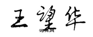 曾庆福王望华行书个性签名怎么写