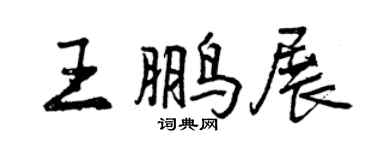 曾庆福王鹏展行书个性签名怎么写