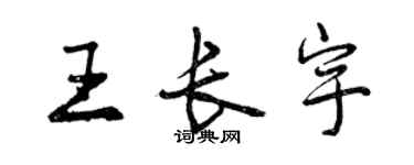 曾庆福王长宇行书个性签名怎么写
