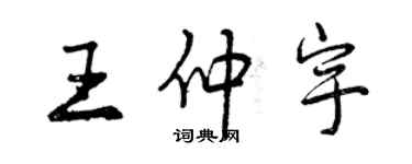 曾庆福王仲宇行书个性签名怎么写