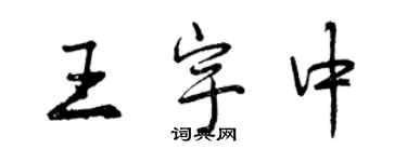 曾庆福王宇中行书个性签名怎么写