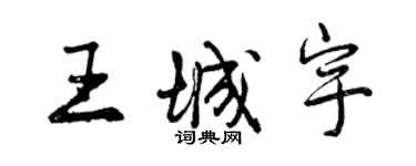 曾庆福王城宇行书个性签名怎么写