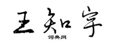 曾庆福王知宇行书个性签名怎么写