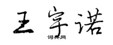 曾庆福王宇诺行书个性签名怎么写