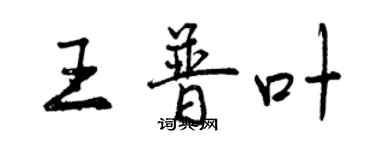 曾庆福王普叶行书个性签名怎么写