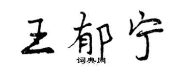 曾庆福王郁宁行书个性签名怎么写