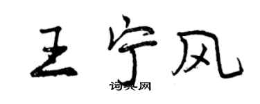 曾庆福王宁风行书个性签名怎么写