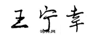 曾庆福王宁幸行书个性签名怎么写