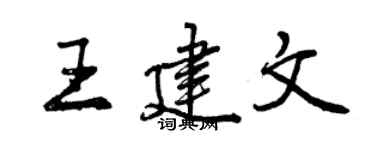 曾庆福王建文行书个性签名怎么写