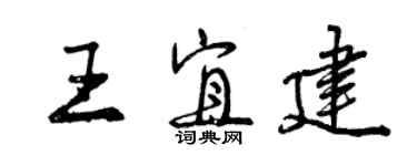 曾庆福王宜建行书个性签名怎么写