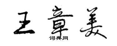 曾庆福王章美行书个性签名怎么写